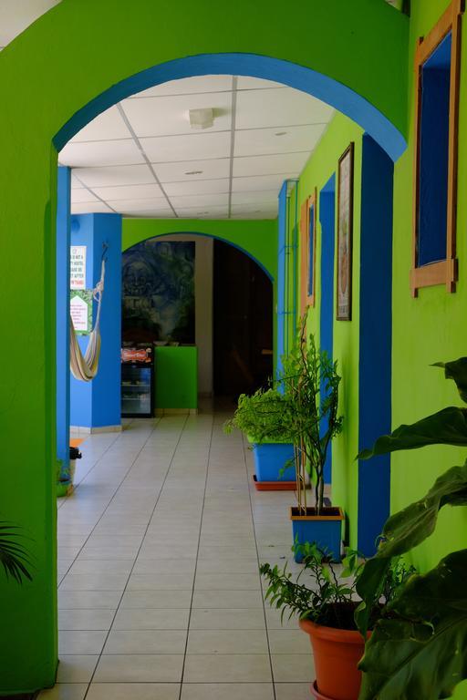 Hostal Casa Verde Santa Ana Eksteriør billede